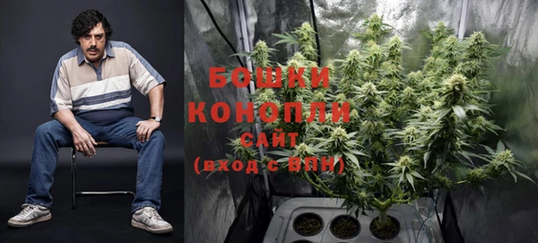 ПСИЛОЦИБИНОВЫЕ ГРИБЫ Белоозёрский