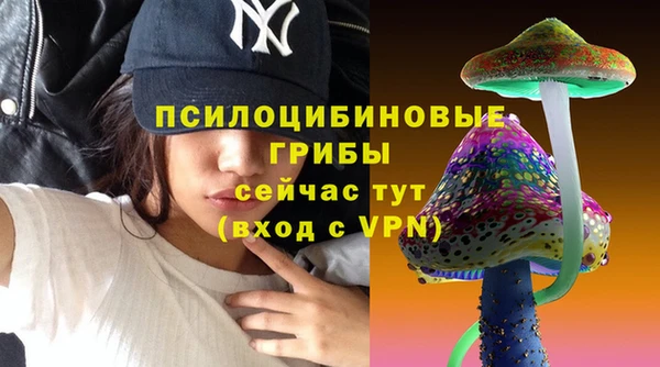 ПСИЛОЦИБИНОВЫЕ ГРИБЫ Белоозёрский