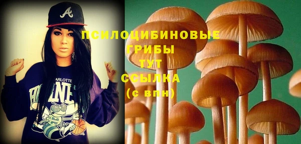 ПСИЛОЦИБИНОВЫЕ ГРИБЫ Белоозёрский