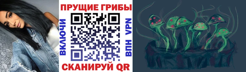 Галлюциногенные грибы GOLDEN TEACHER Печора