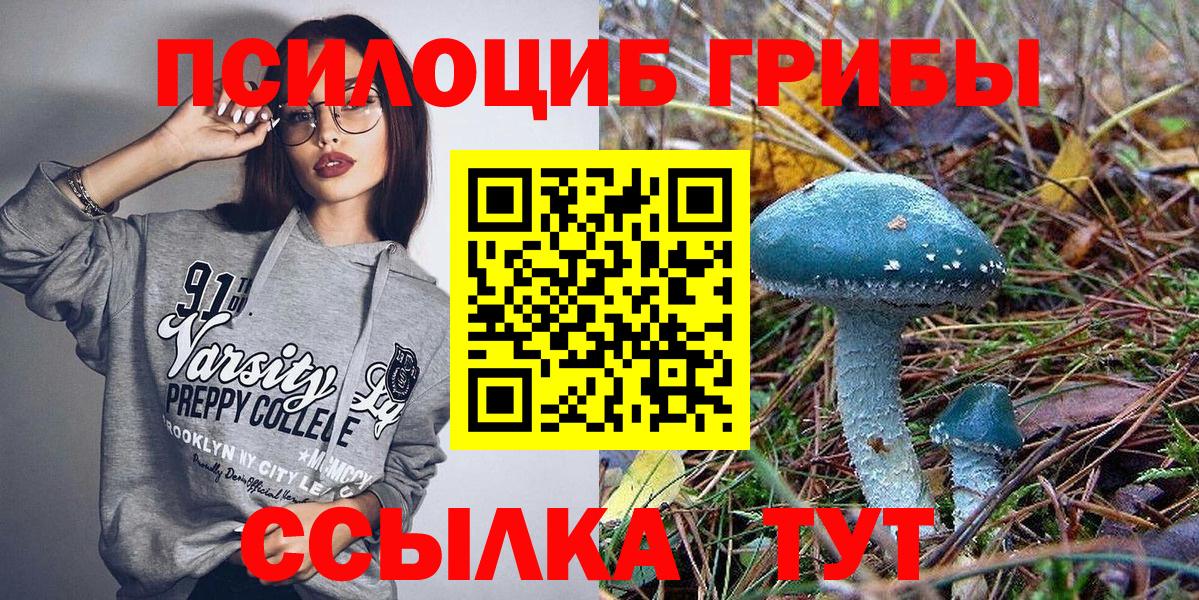 Галлюциногенные грибы Psilocybe  Вход с VPN  Печора 