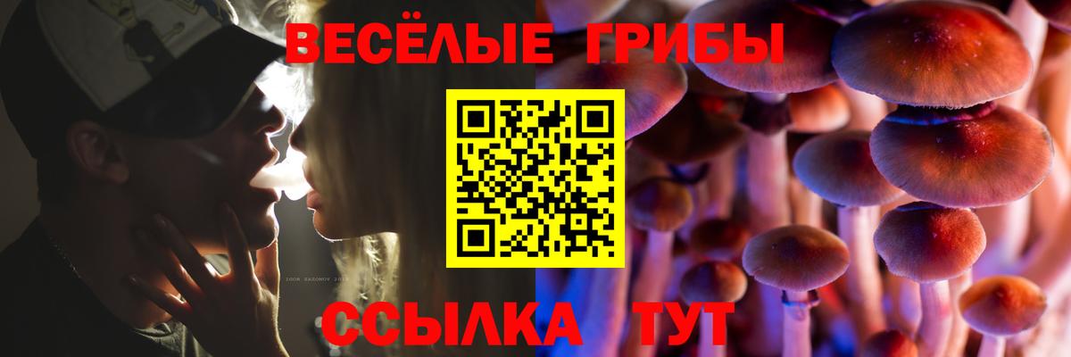 Галлюциногенные грибы ЛСД Печора